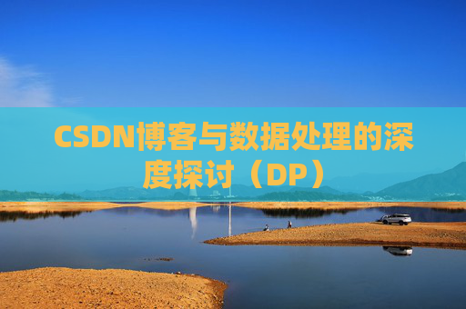 CSDN博客与数据处理的深度探讨（DP）